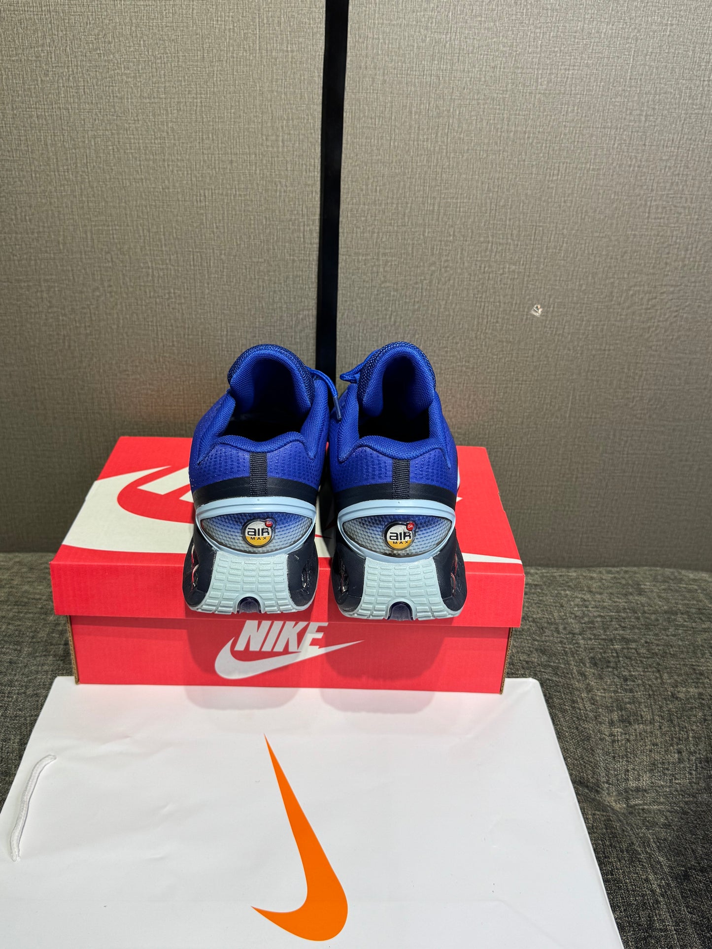 Nike Air Max Dn “BLUE”