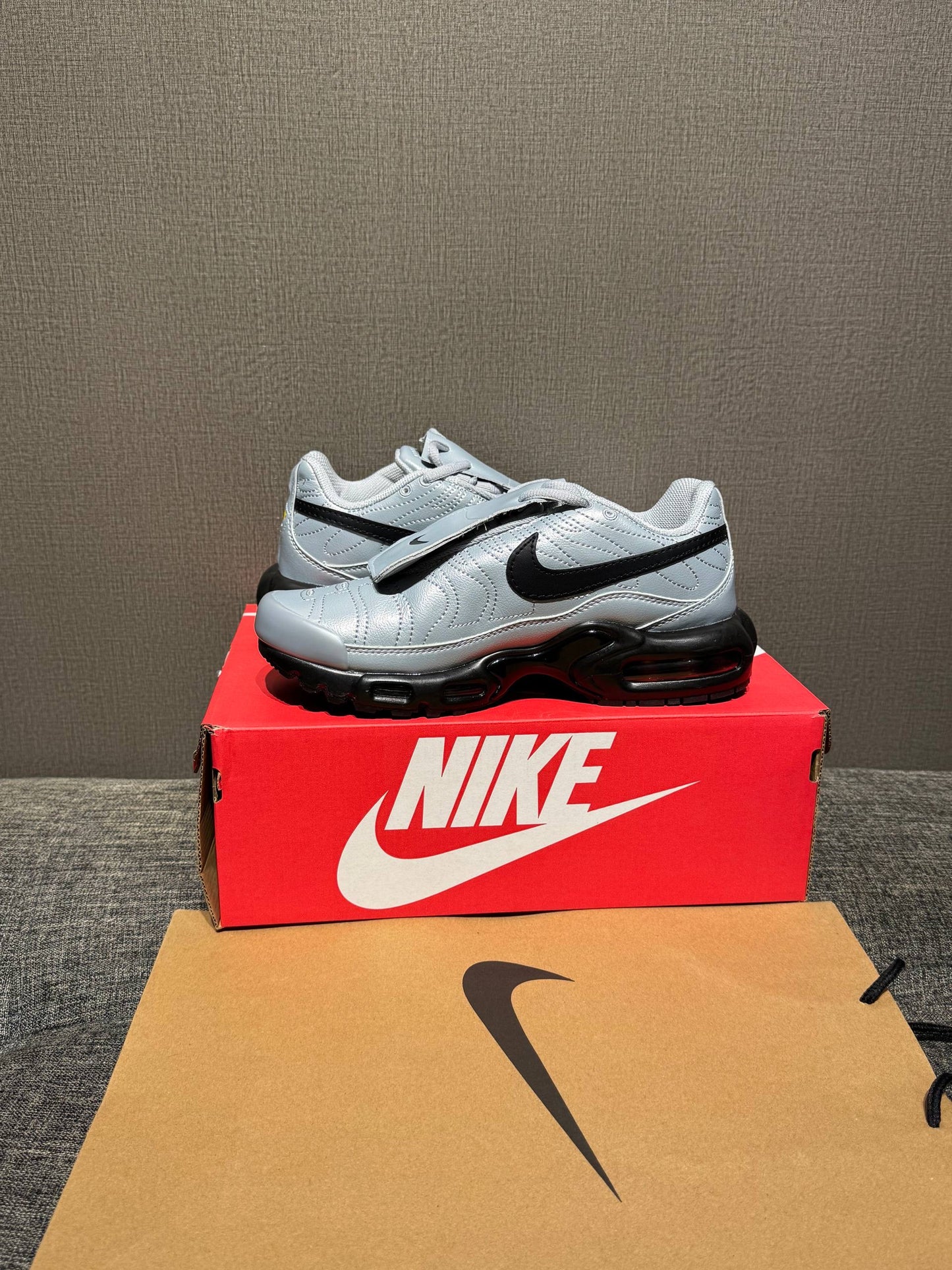 Nike Air Max Plus TNPO SILVER