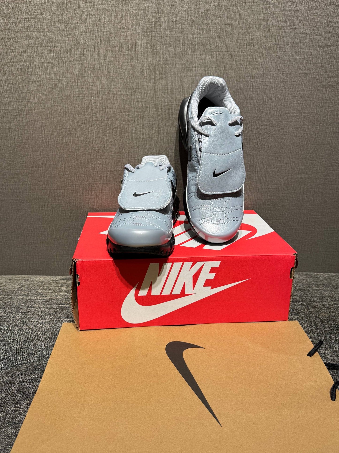 Nike Air Max Plus TNPO SILVER