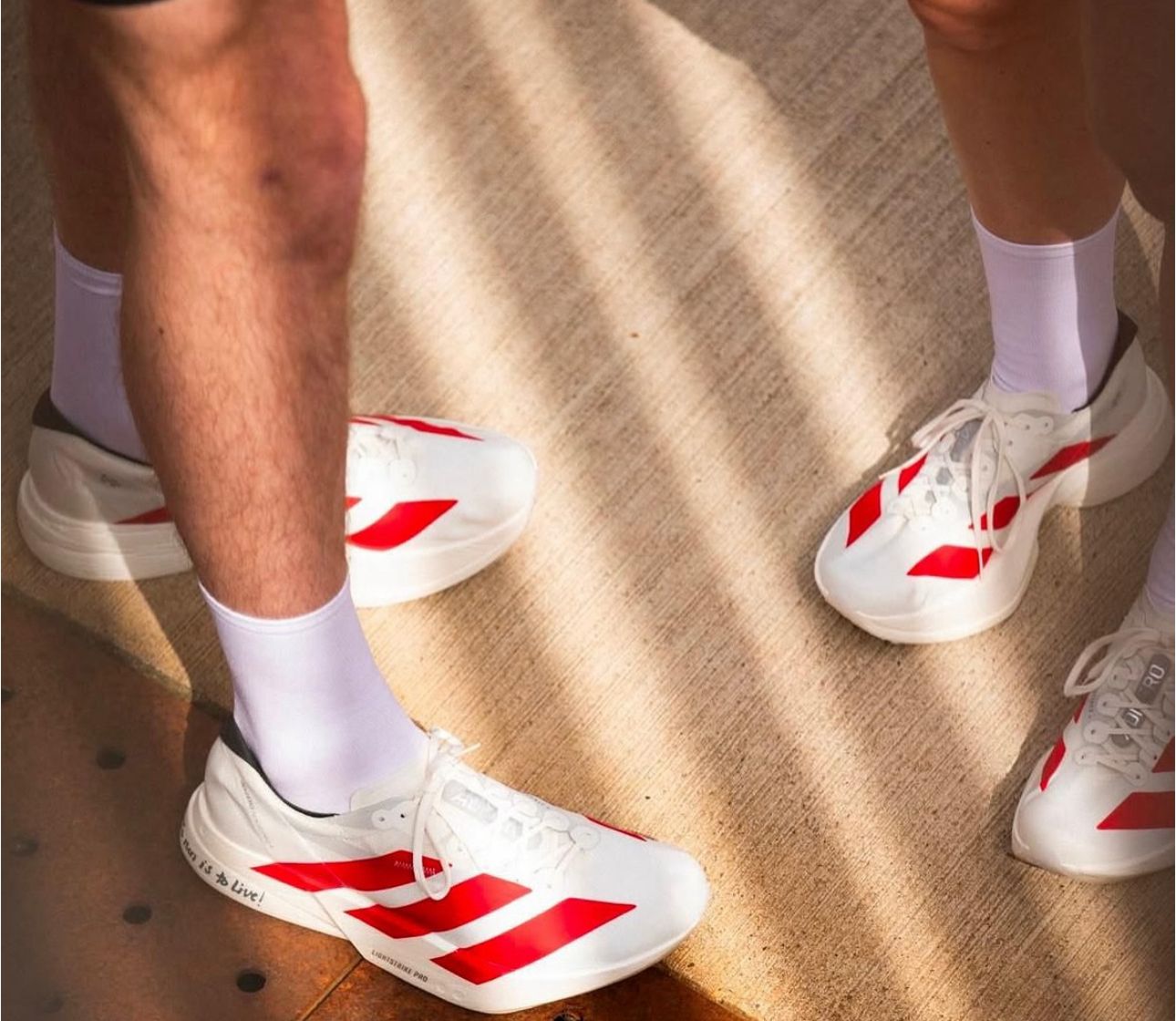 adidas Adizero EVO SL ‘Off White Better Scarlet