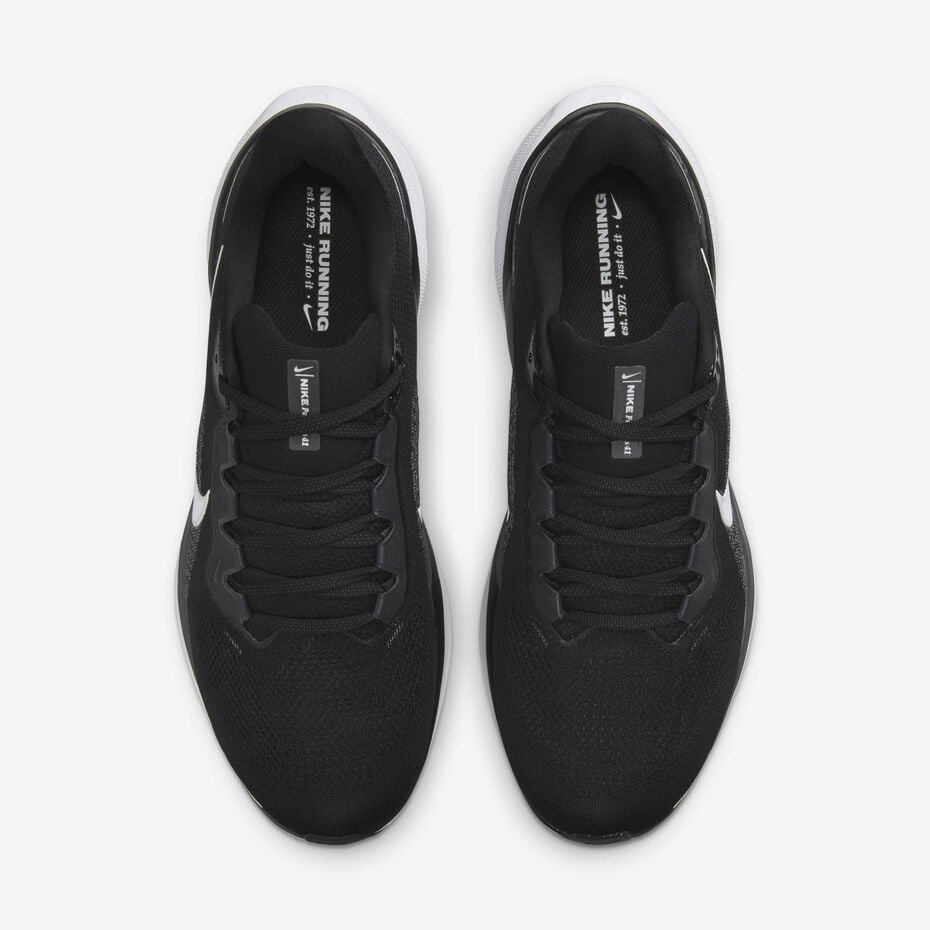 Nike Pegasus 41
